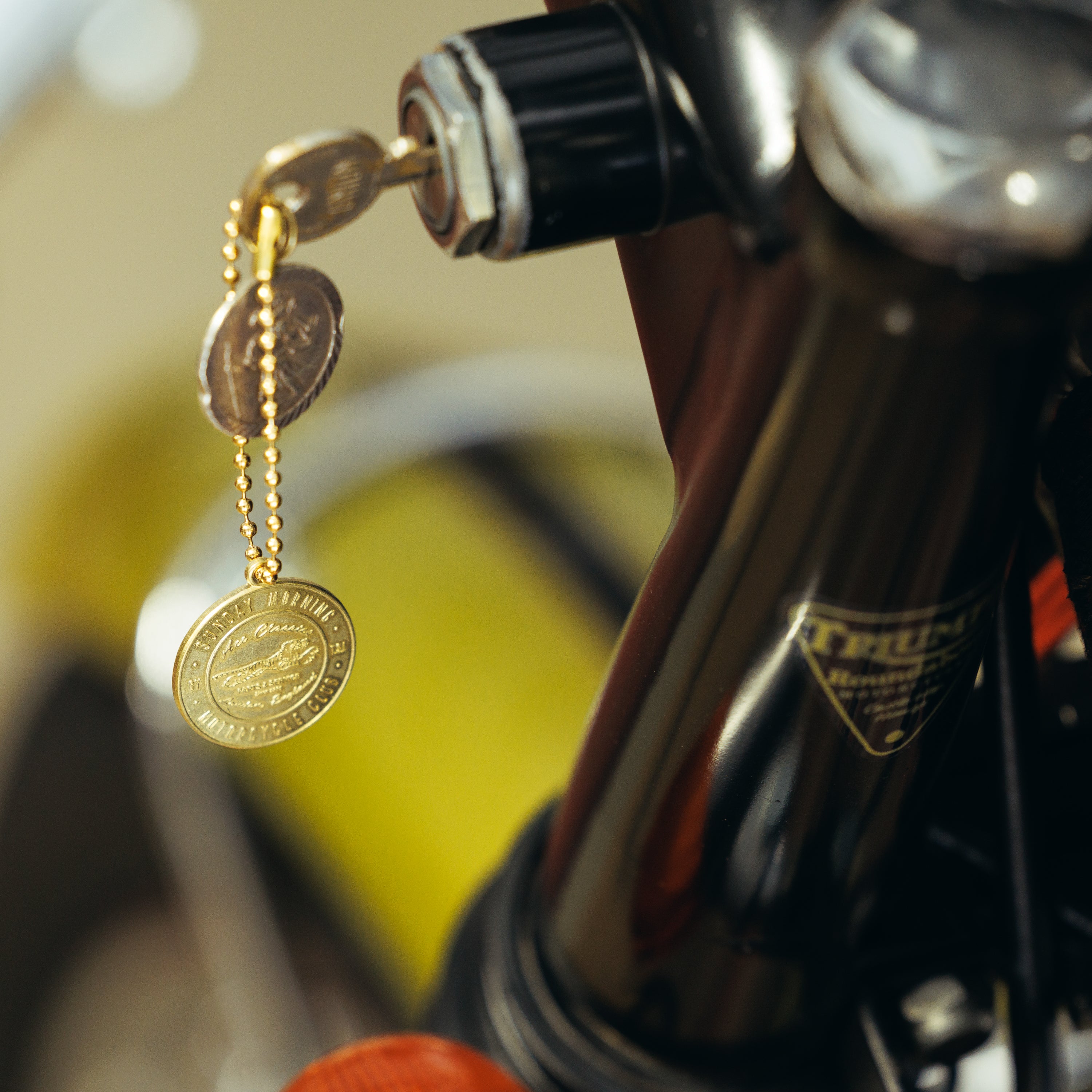 SL1291 collaboration charm